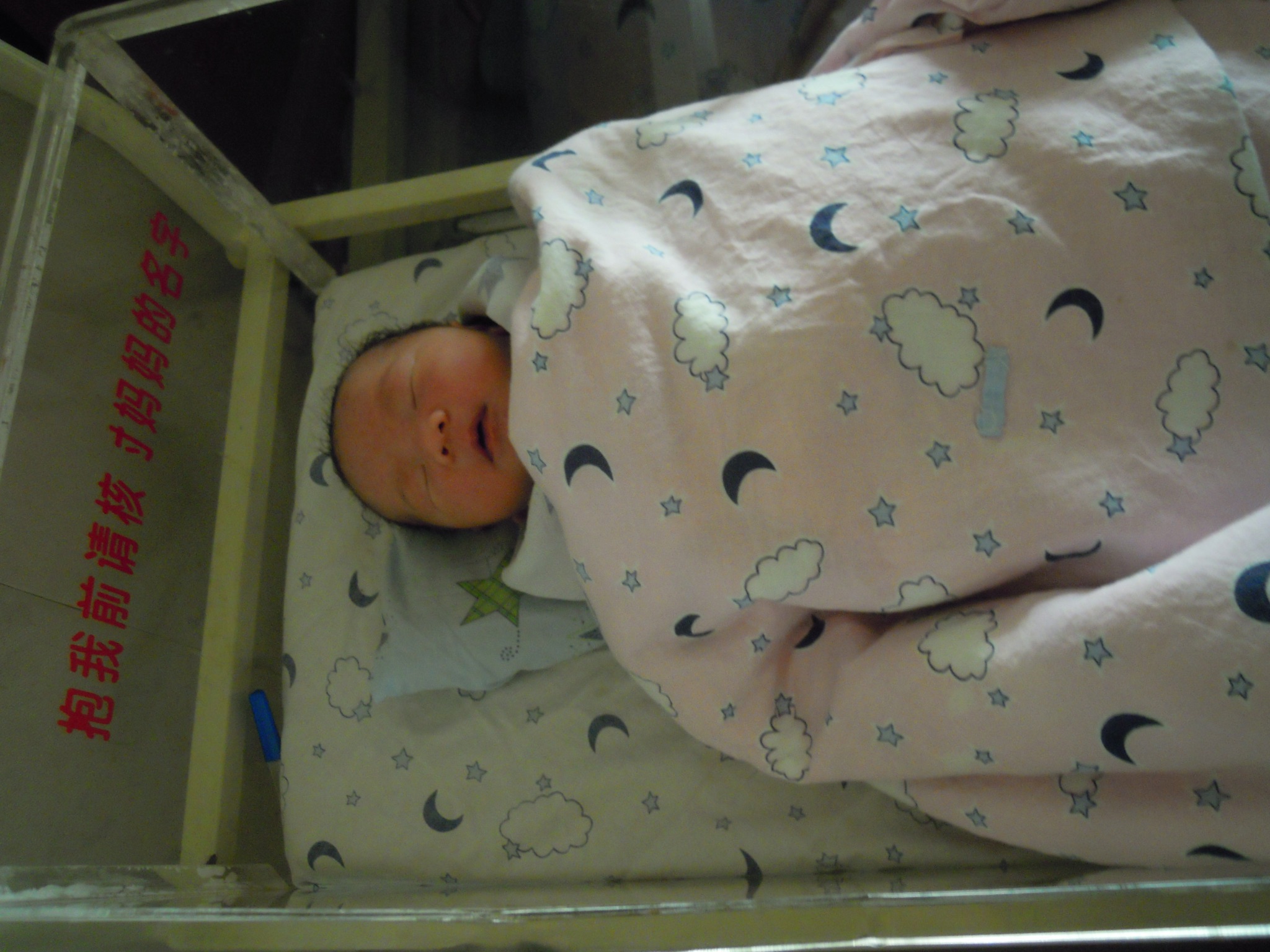 443a77ab24876cab4d0b8ebdb61c9b1c