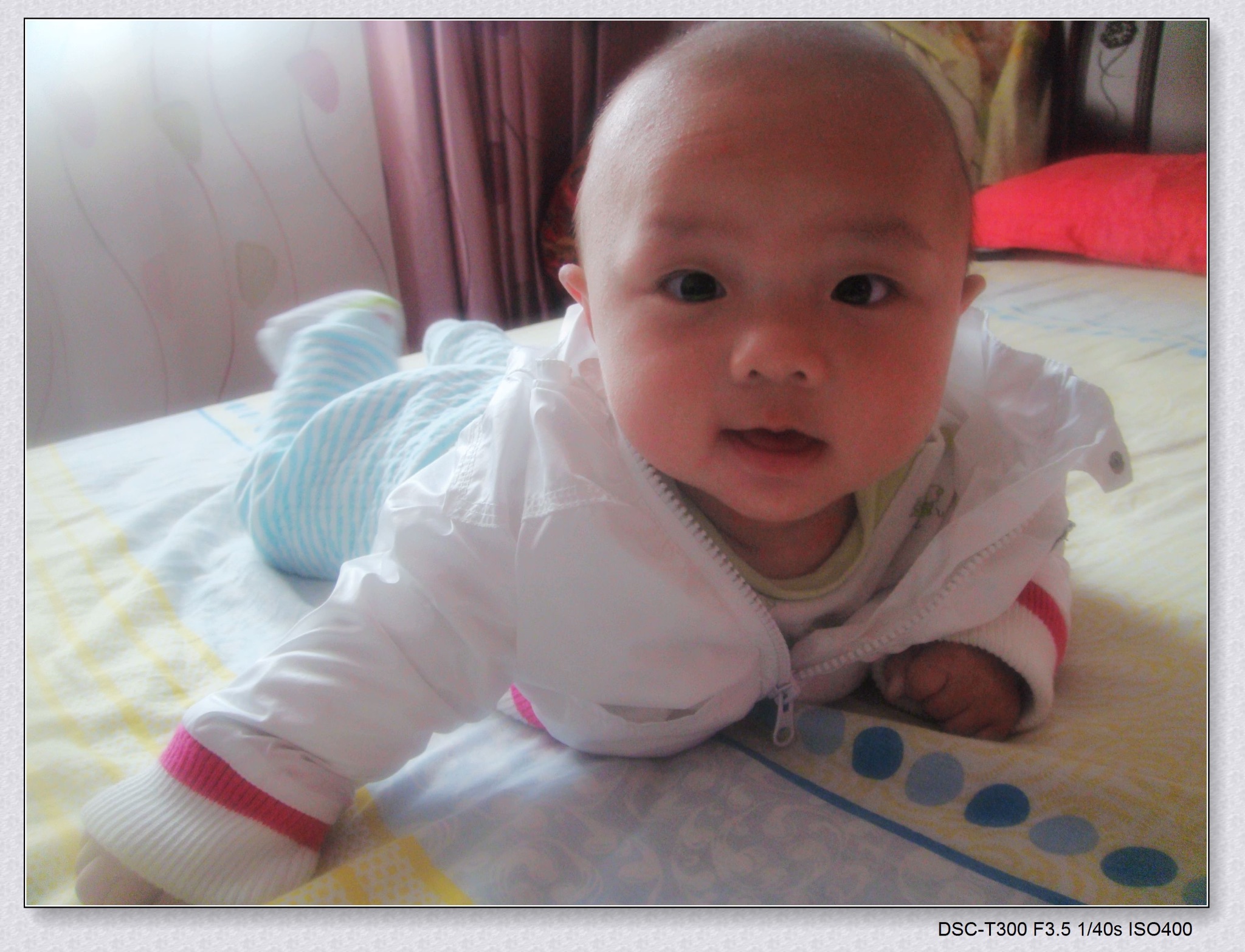 5fb46825fd36a70d3e194a6f5a9ed342