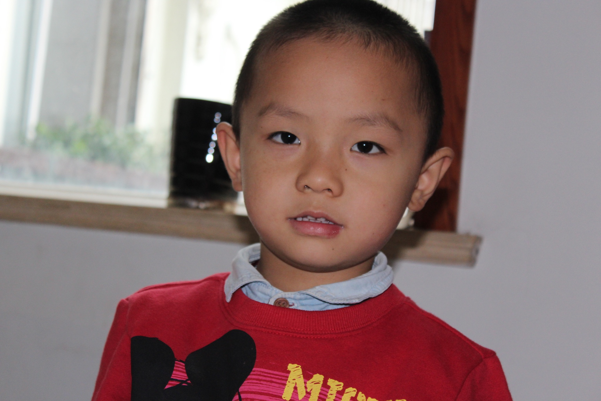 2936dac837dad586c1f67571e9973655