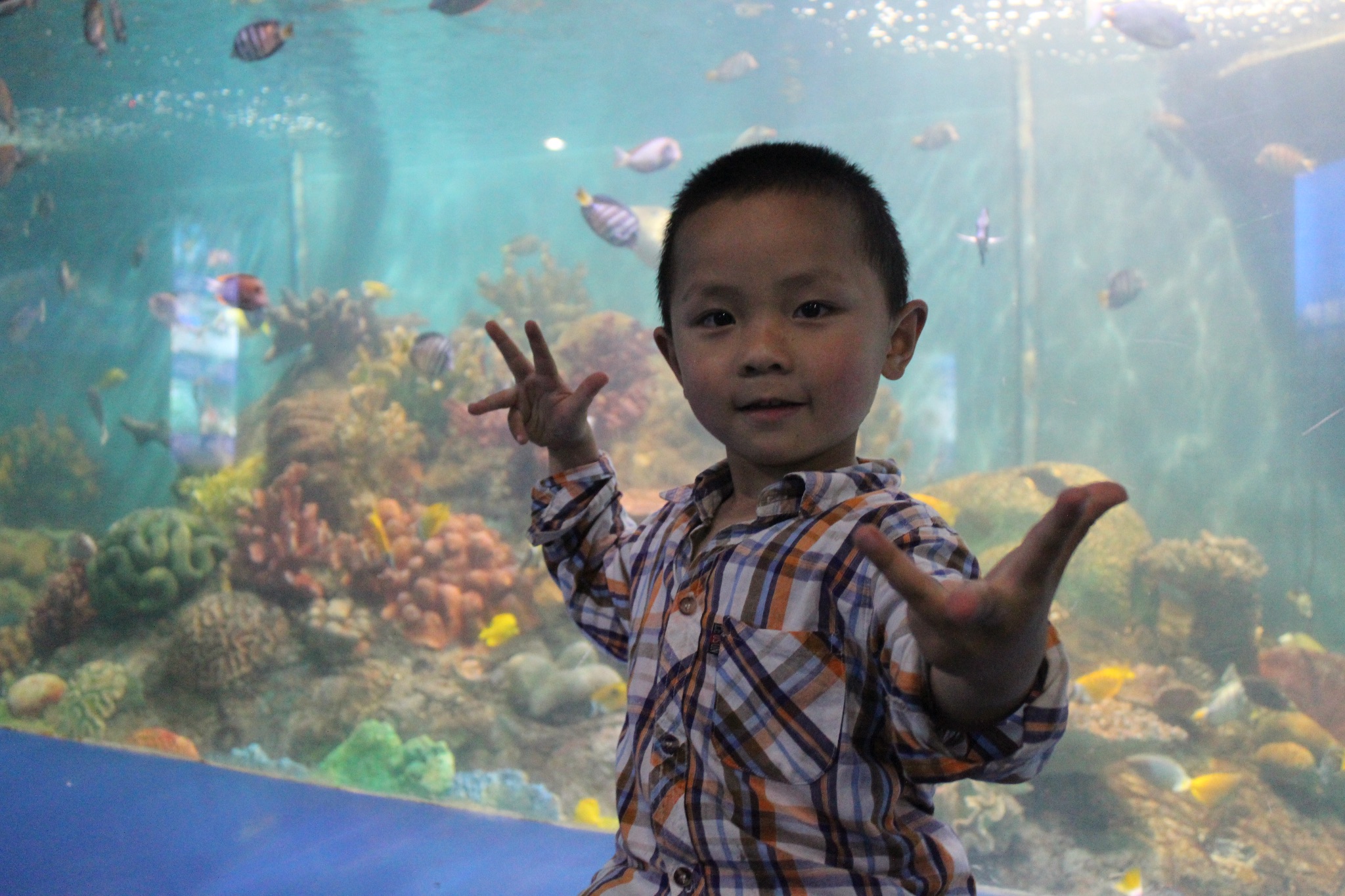 70c0d24cdfa5d23adc497163829fccd0