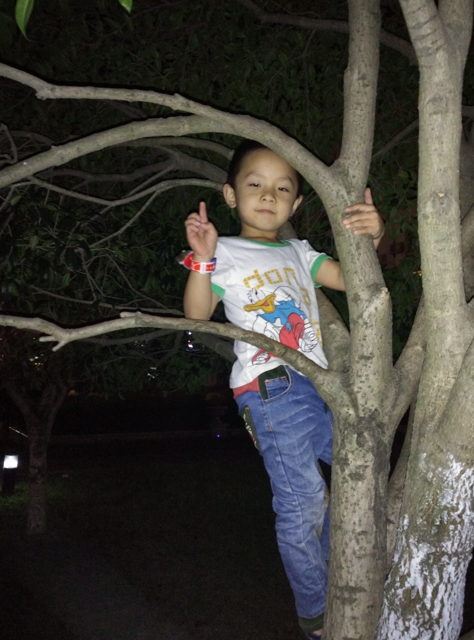 8f979e1e21b0ef450fa9059dfd014ad6