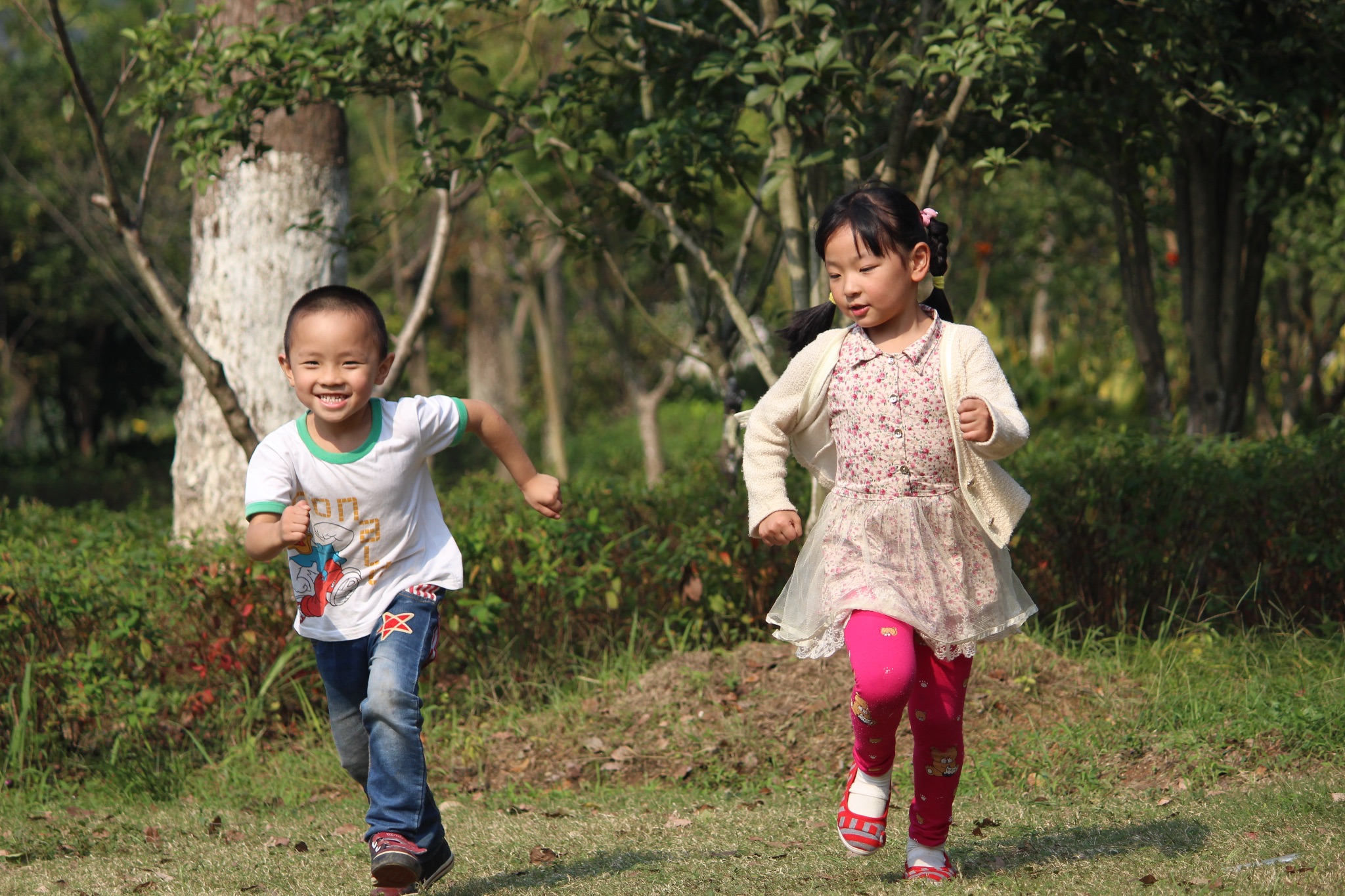 D15bb2ff4b56285cf38996ca1bbbd828