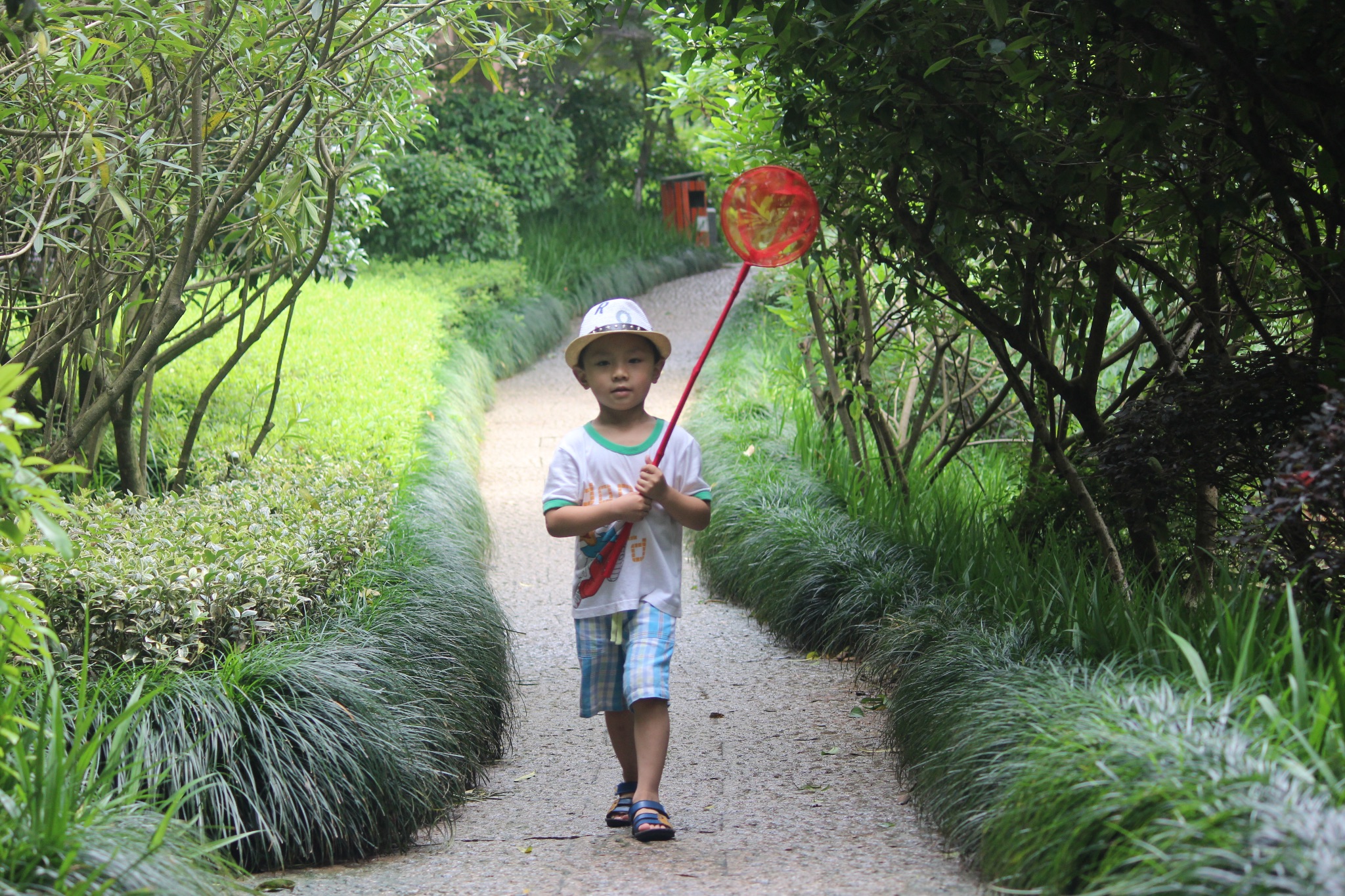 D4ee90bbaccc14524a19c62915fce9e6