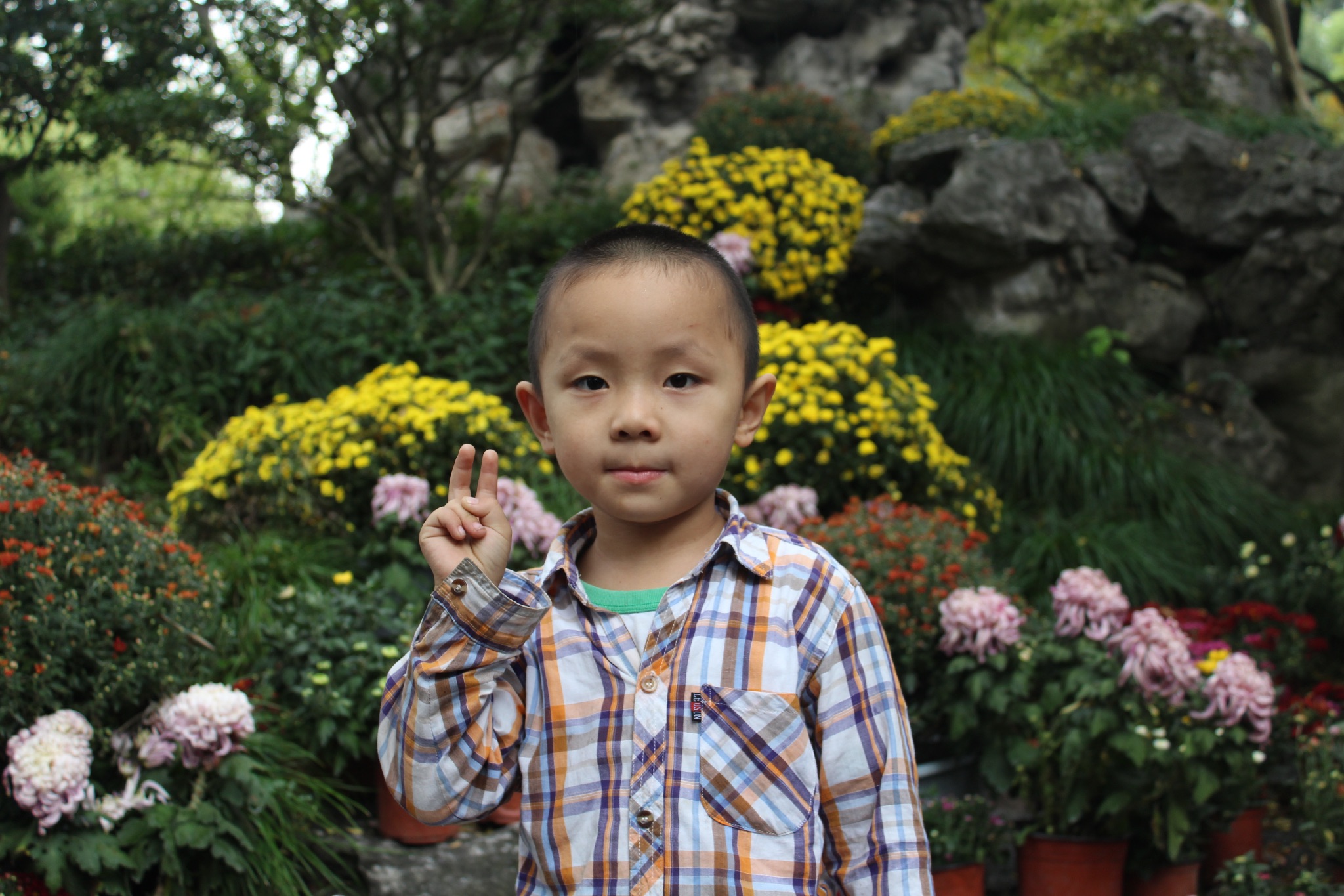 Fae425375aeafcfee25735f5391454c3