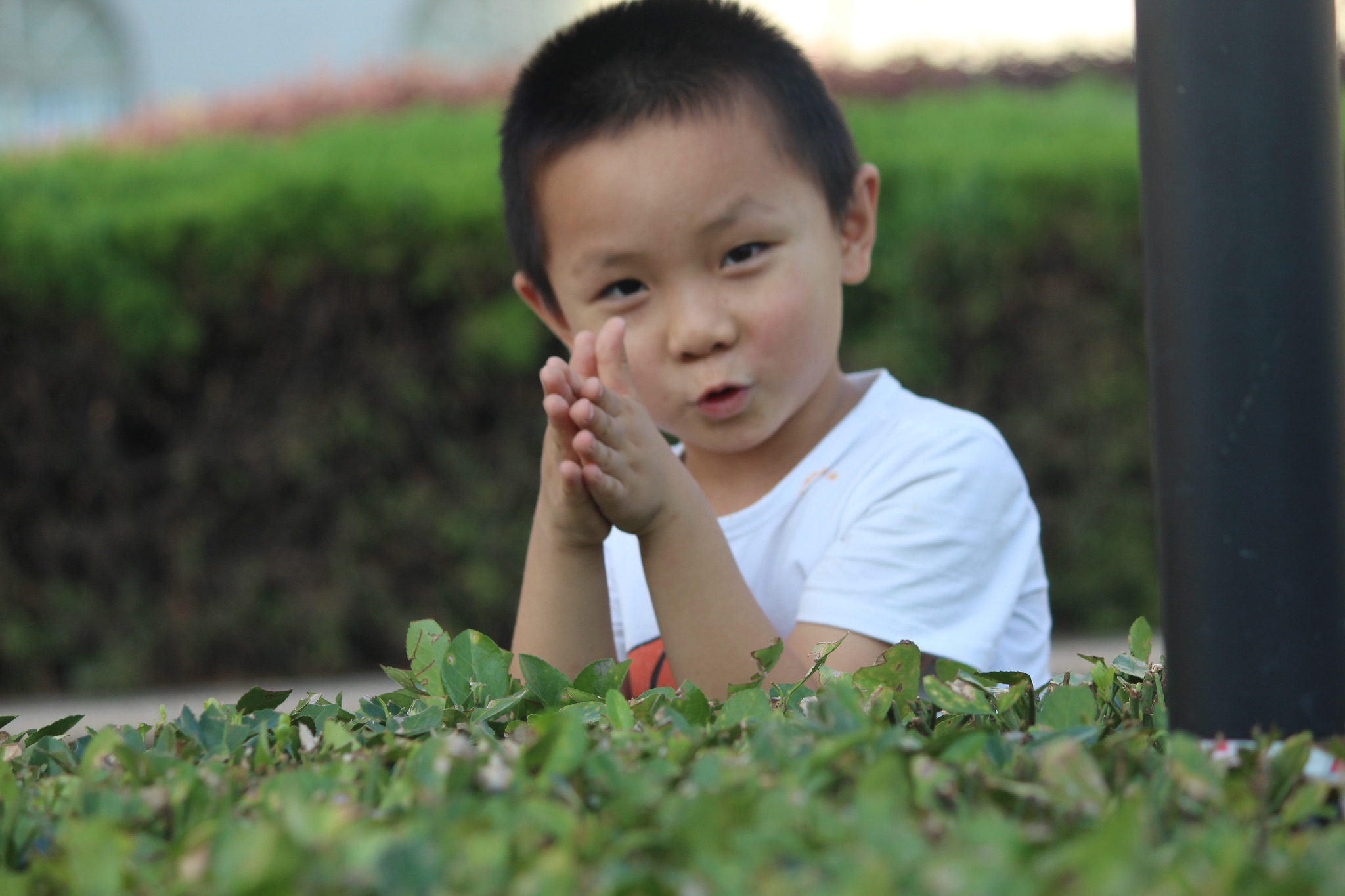 76ebef6722c85fa90384fd14245ab570