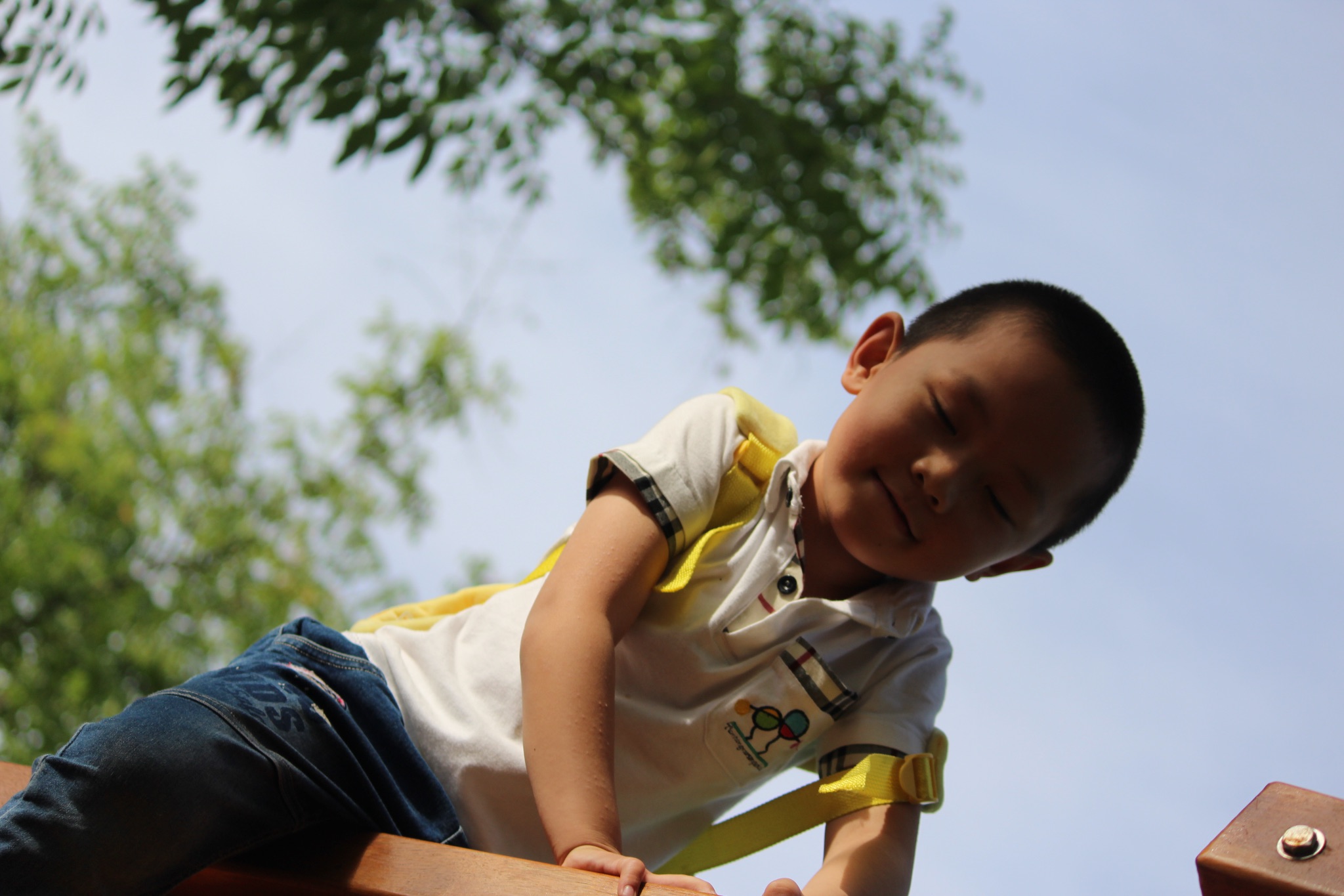 Eb7593d91ed5588e4df0a14cc407825b